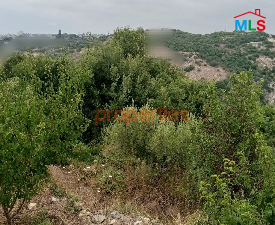 Land For sale In Hboub – Jbeilارض للبيع في حبوب جبيل – CPJRK205