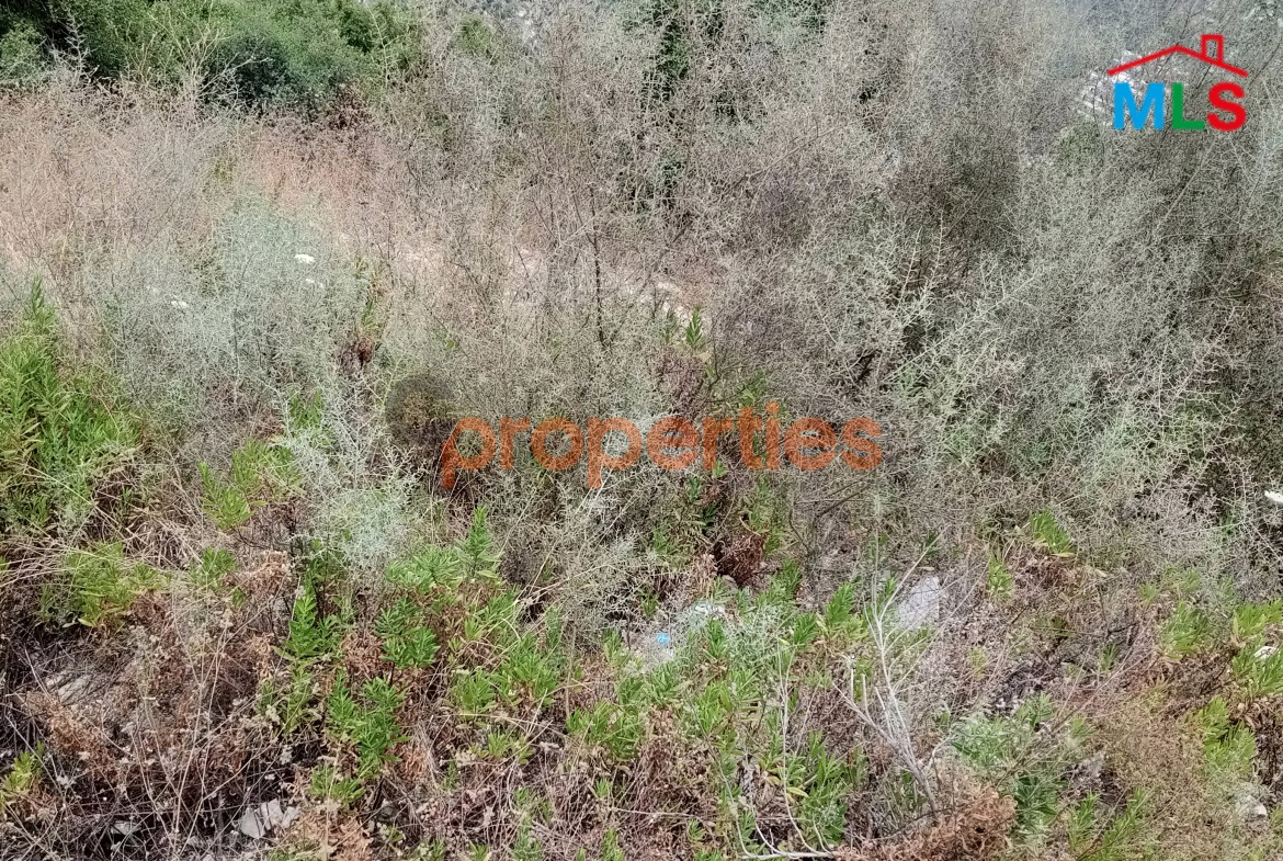 Land For sale In Hboub – Jbeilارض للبيع في حبوب جبيل – CPJRK205