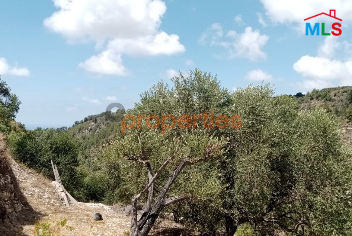 Land For Sale in Kafer – Jbeil CPJRK269