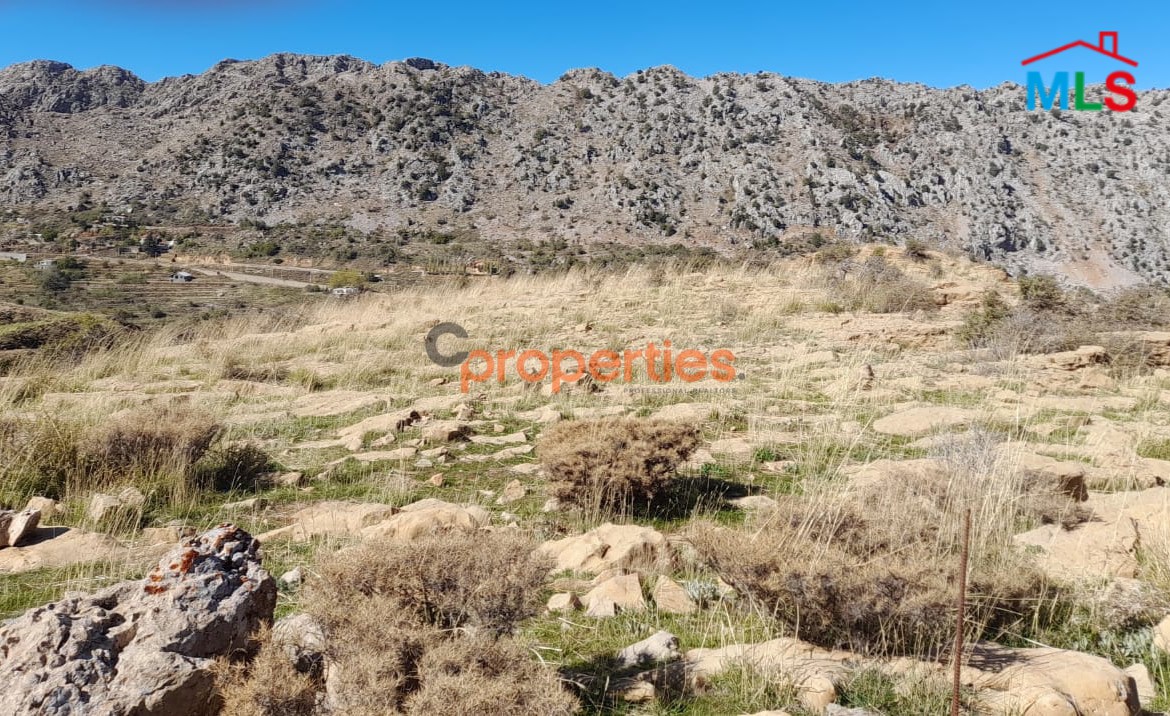Land For Sale In Laqlouq Jbeil CPJJA80
