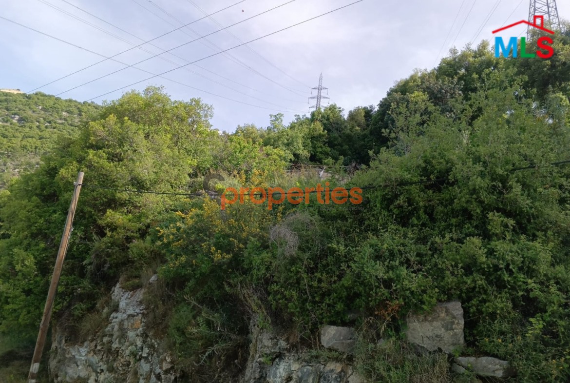 Land For Sale In Bchelli Jbeil CPJJA81