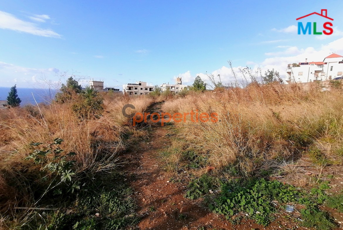 Land For Sale In Halat, Jbeil CPJJA87