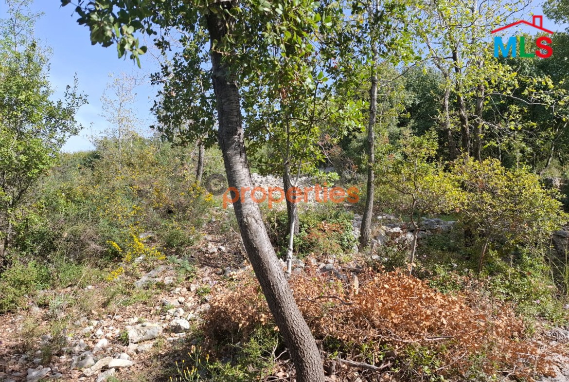 Land For sale in Obeidat – Jbeil- CPKCC24