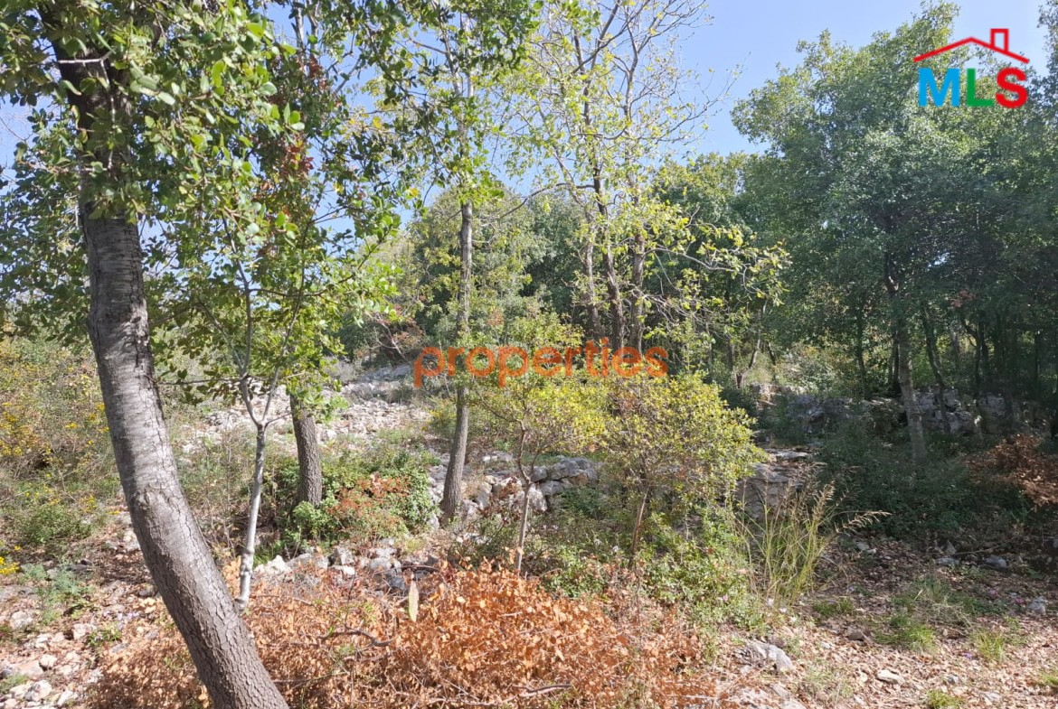 Land For sale in Obeidat – Jbeil- CPKCC24