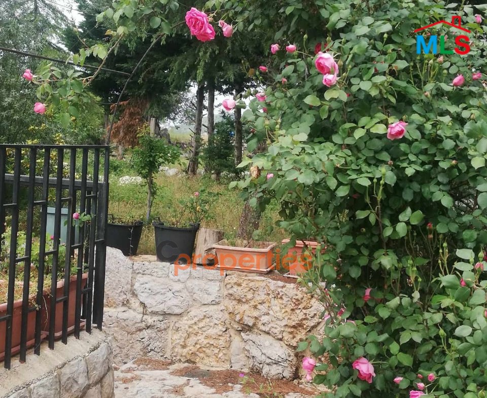 Land with an old stone house for sale in Ghineh – CPKCC21