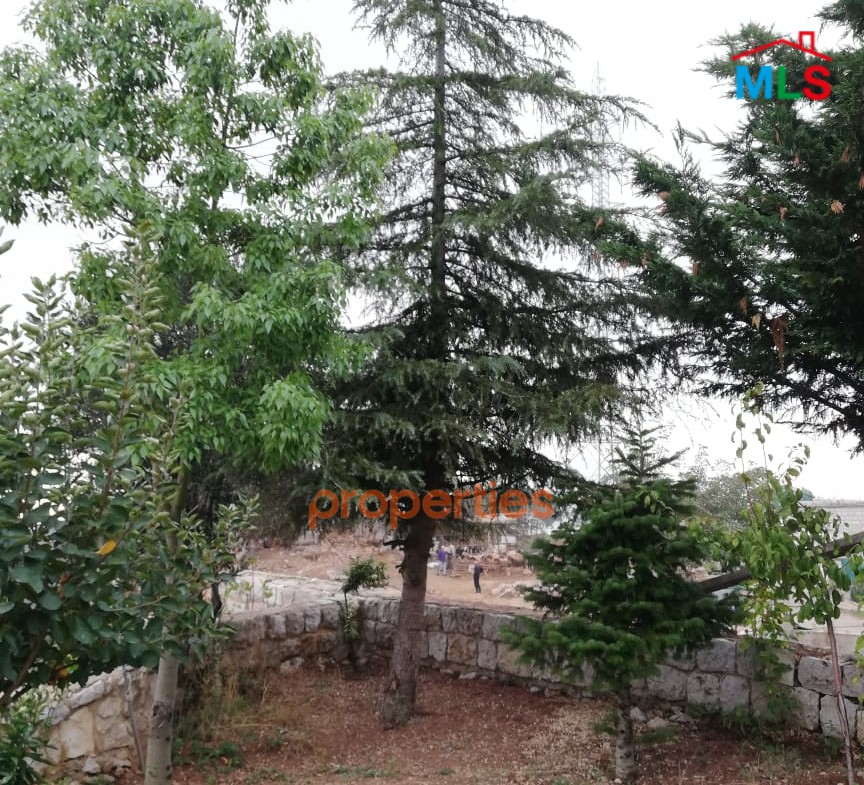 Land with an old stone house for sale in Ghineh – CPKCC21