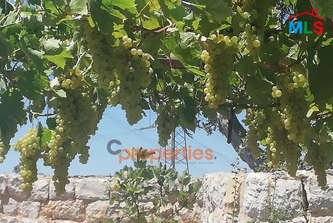Land with an old stone house for sale in Ghineh – CPKCC21