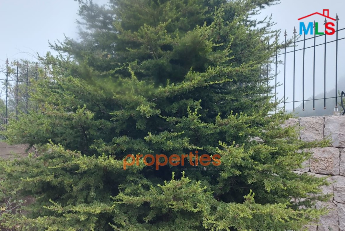 Land with an old stone house for sale in Ghineh – CPKCC21