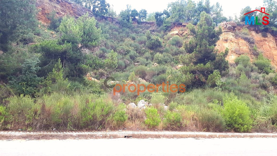 Land For Sale In Ain El Delbe Jbeil CPJJA52