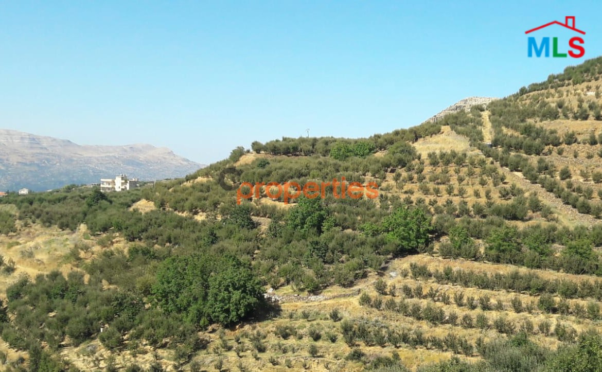 Land For Sale In Laqlouq Jbeil CPJJA86