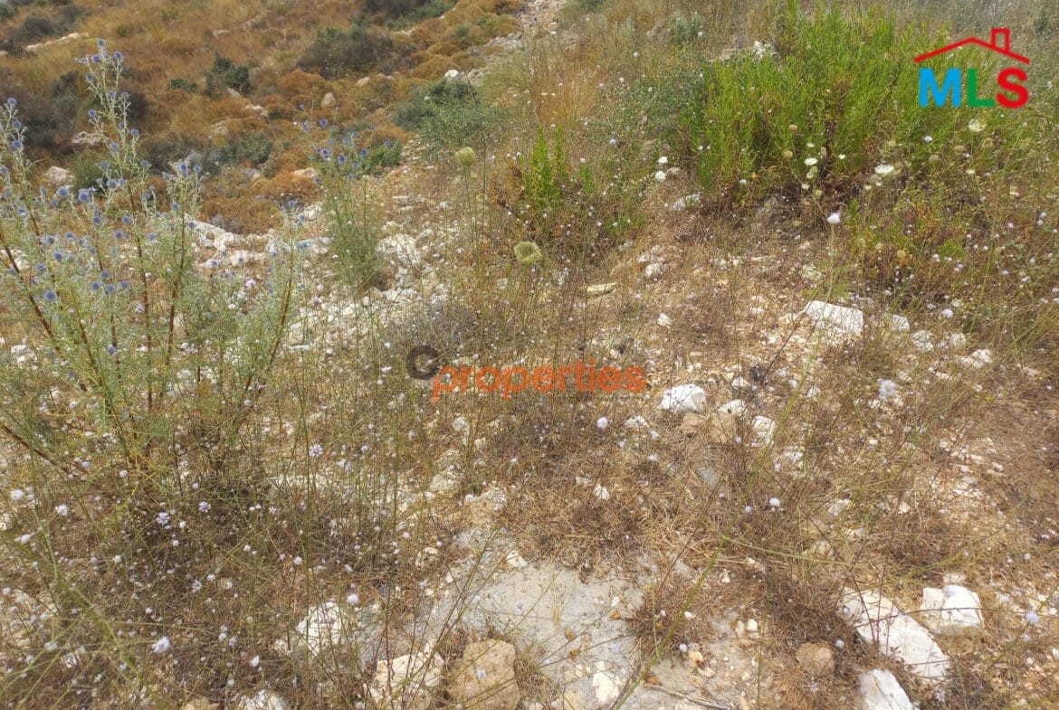 Land for sale in hboub _ jbeil CPJRK202
