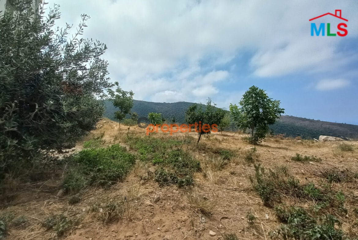 Land For Sale in Braij Jbeil CPJRK215