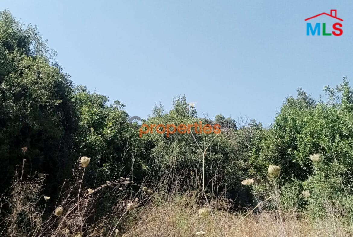 Amazing Land for sale in edde jbeil CPJRK213