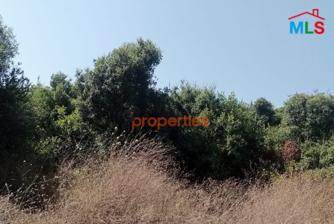Amazing Land for sale in edde jbeil CPJRK213