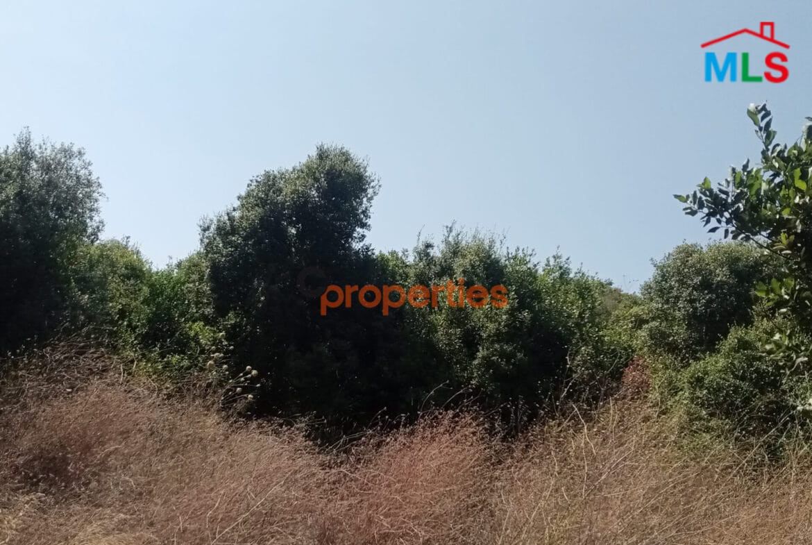 Amazing Land for sale in edde jbeil CPJRK213