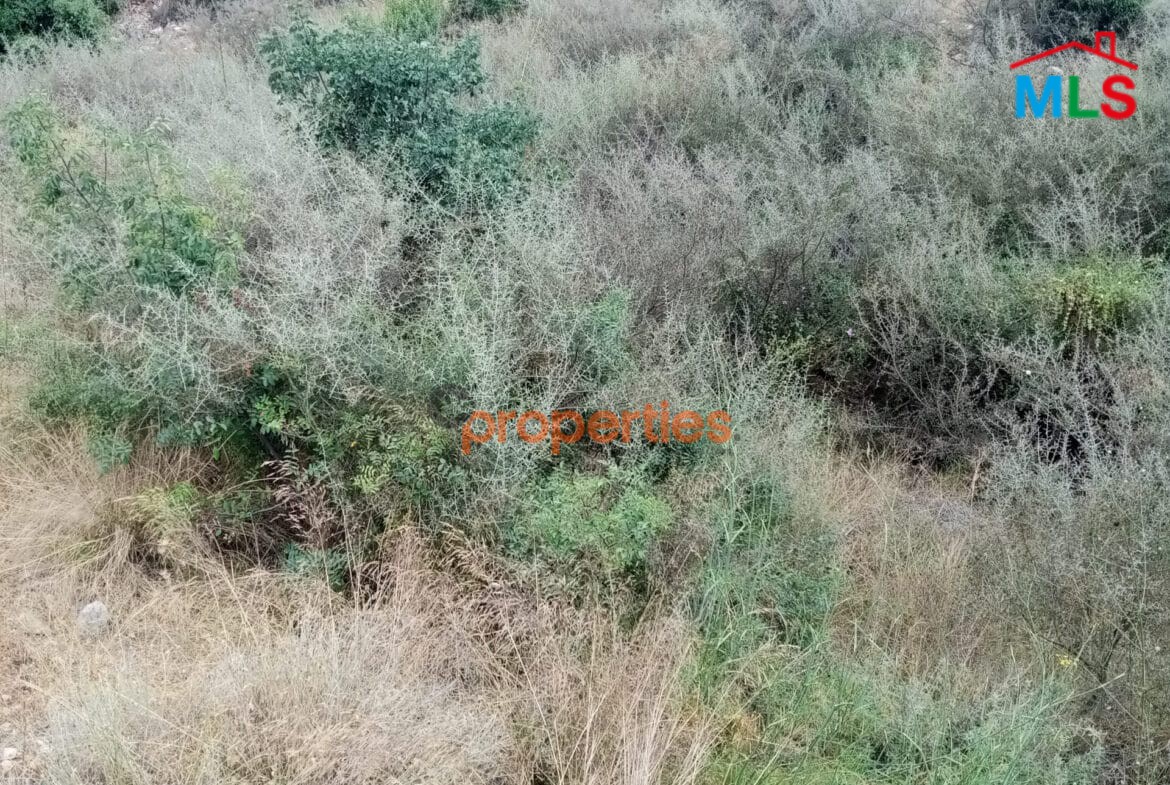 Amazing land for sale in hboub-Jbeil CPJRK208