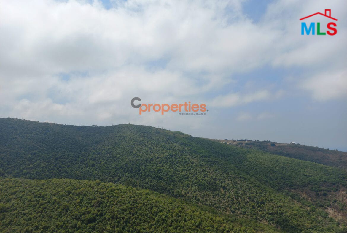 Land For Sale in Braij Jbeil CPJRK216