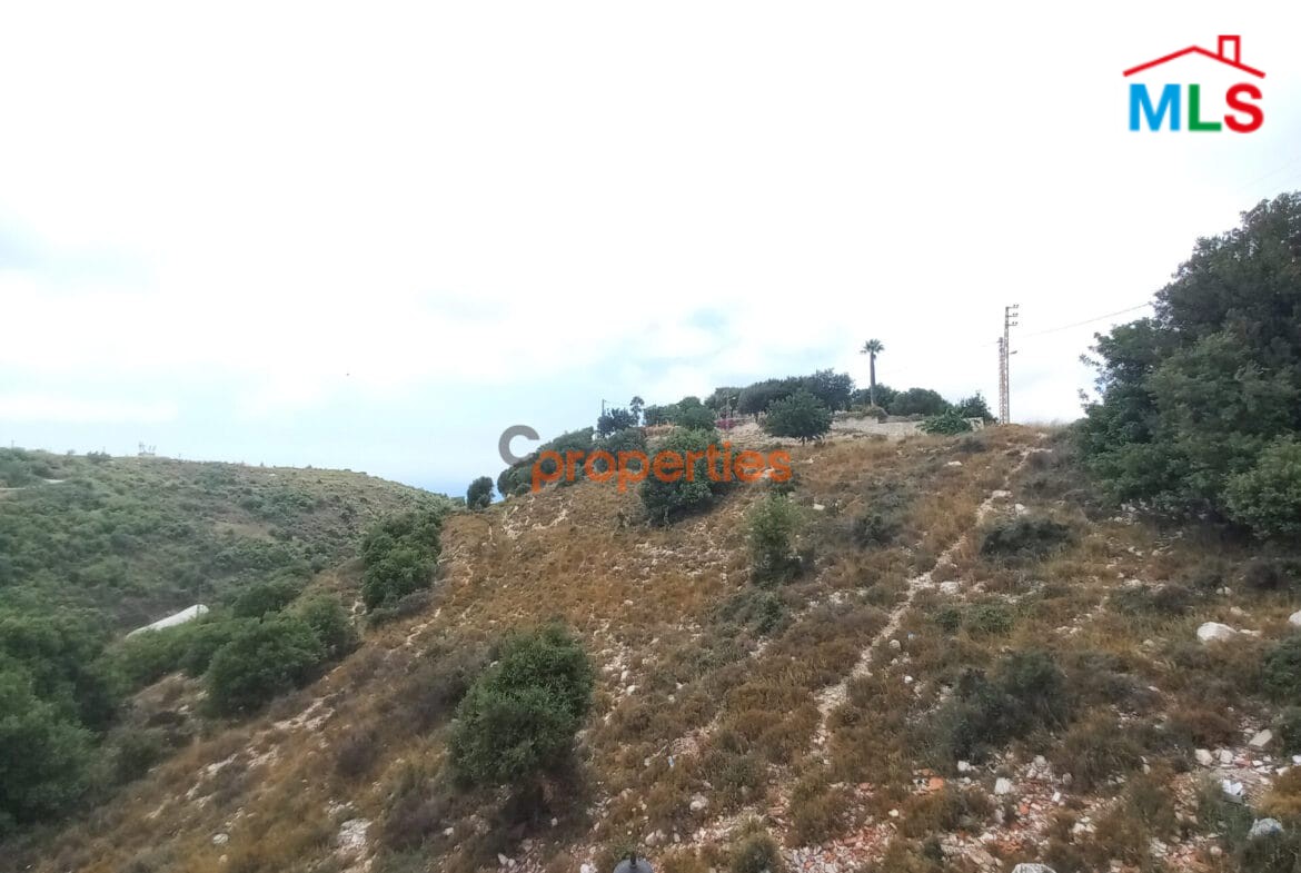 Apartment for Sale in Hboub Jbeil CPJRK11