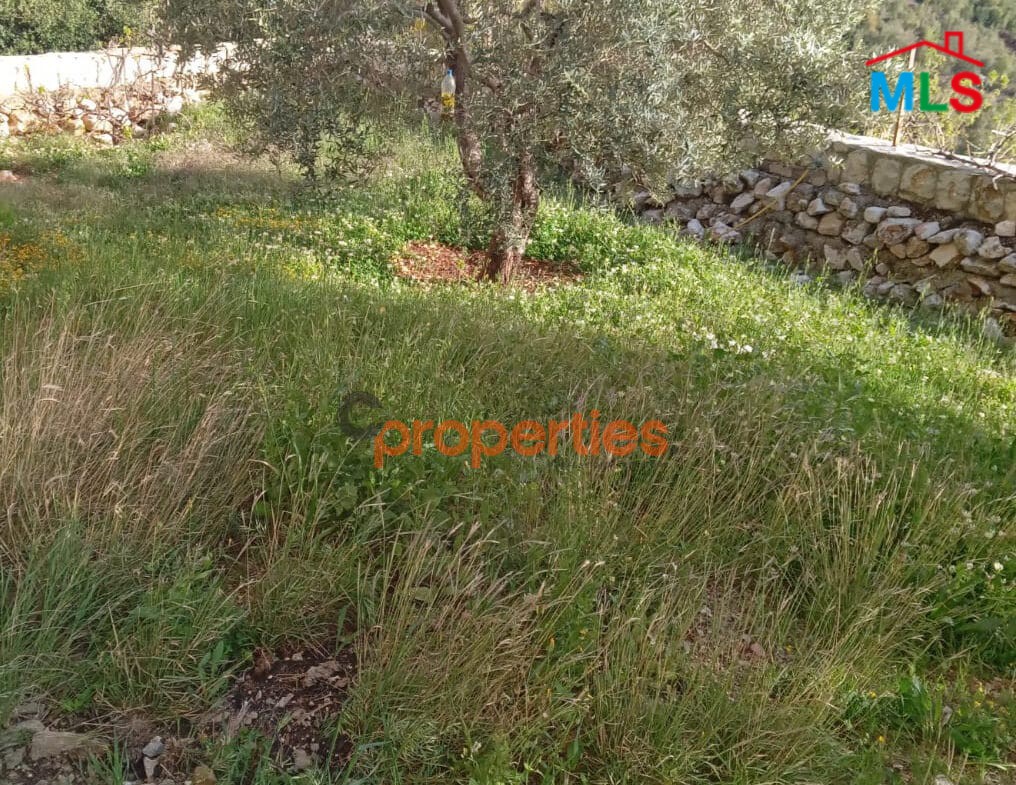 Villa For Sale in Blat-Jbeil CPJRK67