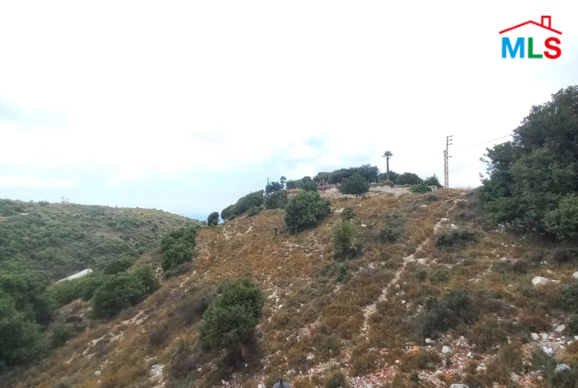 Land For Sale in Blat – Jbeil CPJRK204