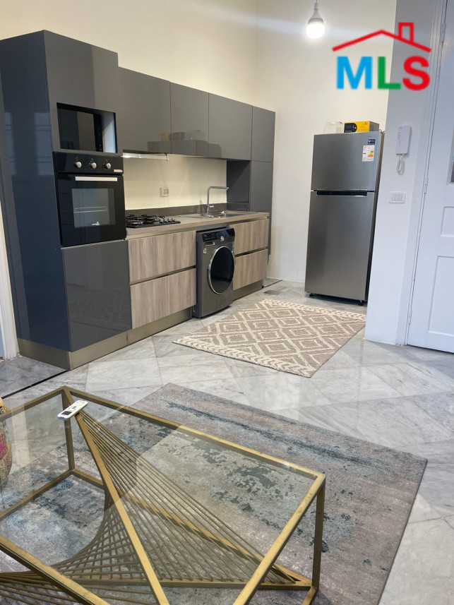 Fully Furnished and Renovated Apartment in Clemenceau