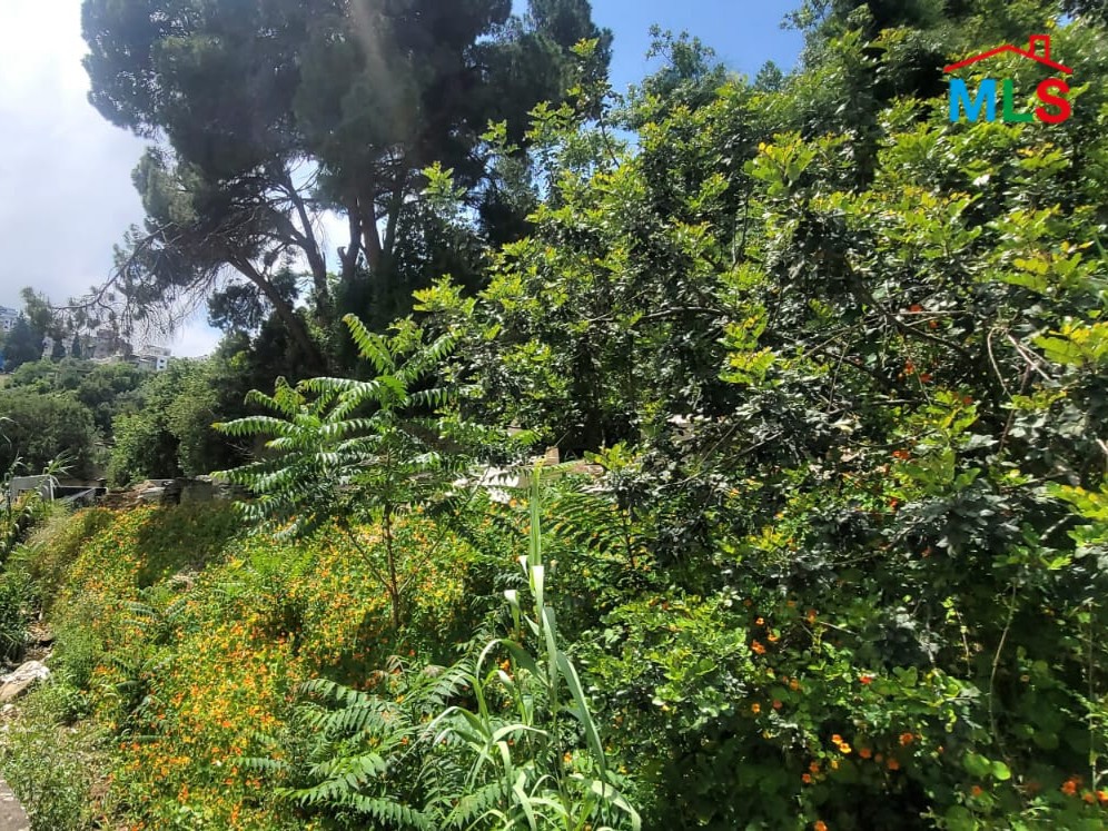 2,630 Sqm Land For Rent in Sarba