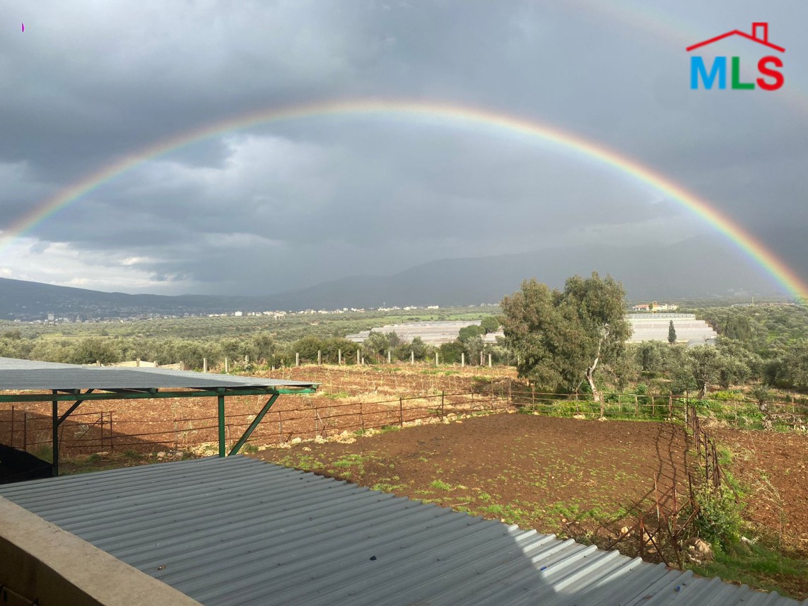 6,334 SQM Land with Farm For Rent in Zgharta