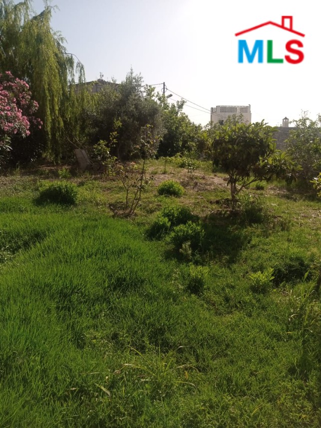 A 1220 SQM Land For Sale in Roumieh