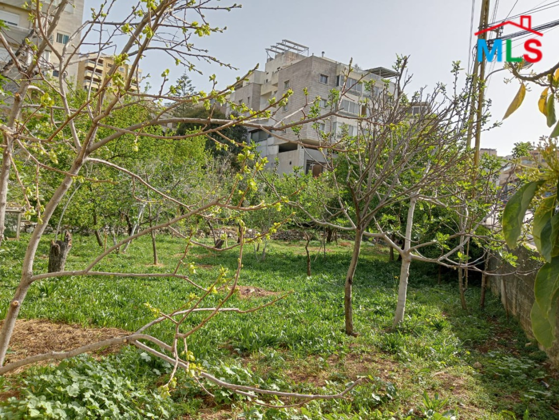 Land For Rent On The Main Road Of Ballouneh, Shayle