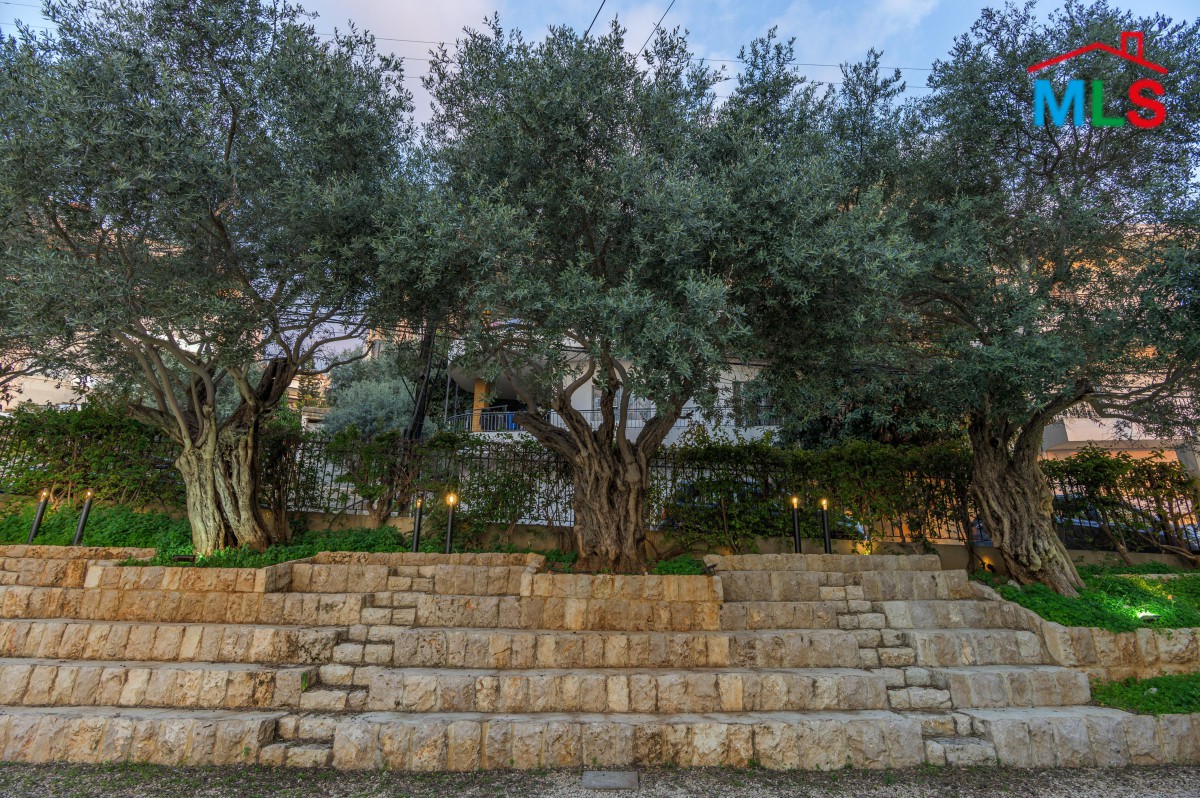 Furnished Individual Chalet With Garden For Rent in Kfarhbeib