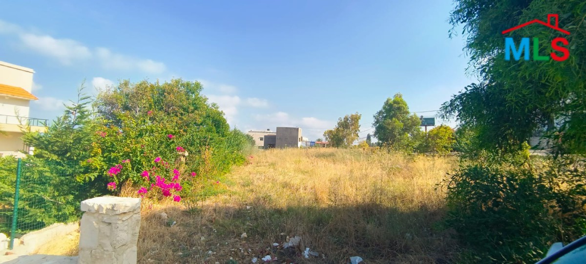 1,000 SQM Land for Rent In Barbara