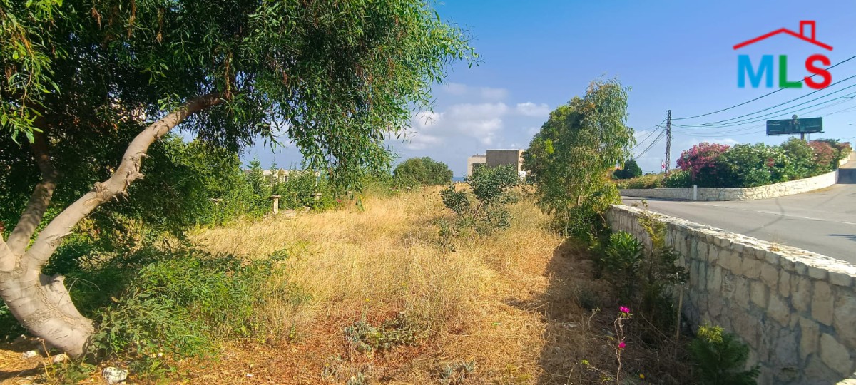 1,000 SQM Land for Rent In Barbara
