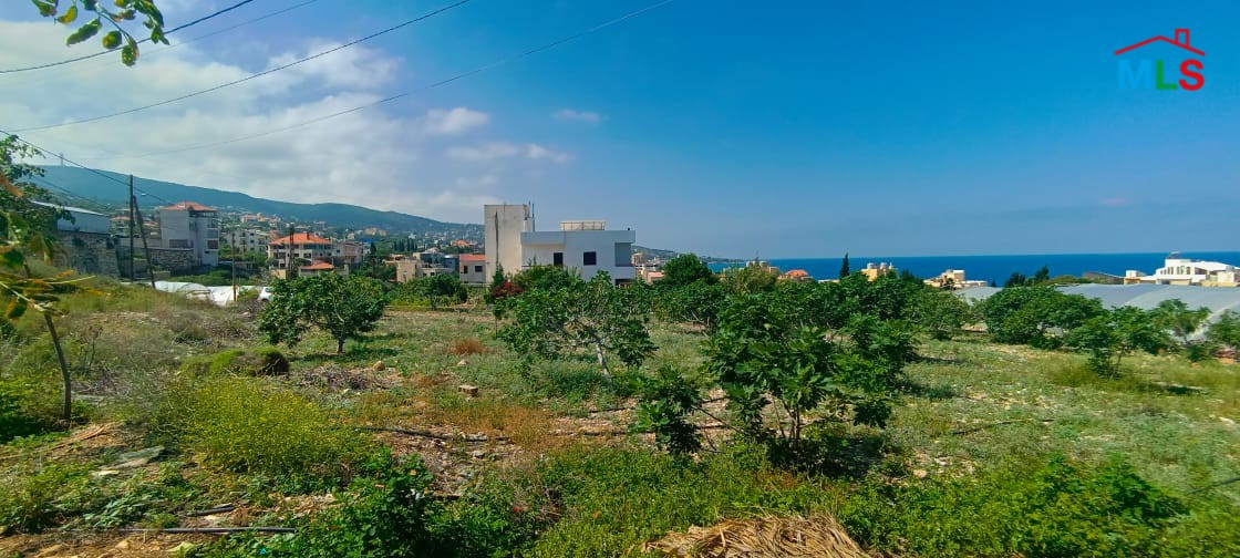 Land for Rent in A Prime Location Kfar Aabida