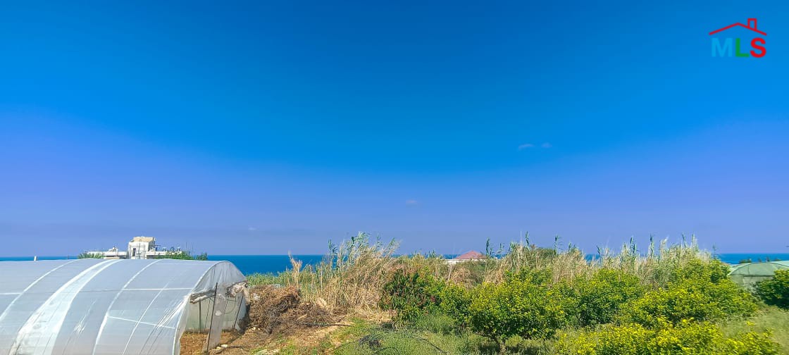 Land for Rent in A Prime Location Kfar Aabida