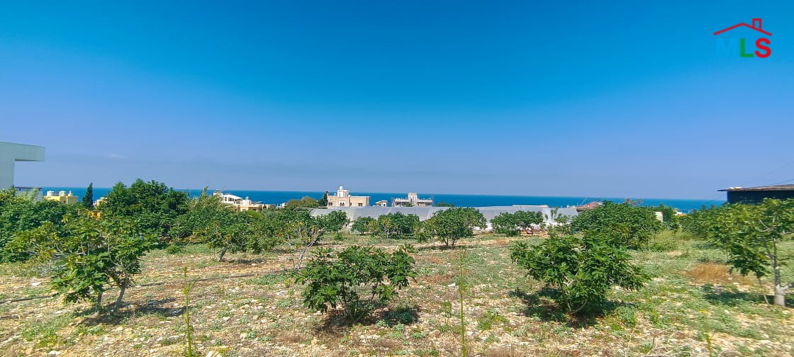 Land for Rent in A Prime Location Kfar Aabida