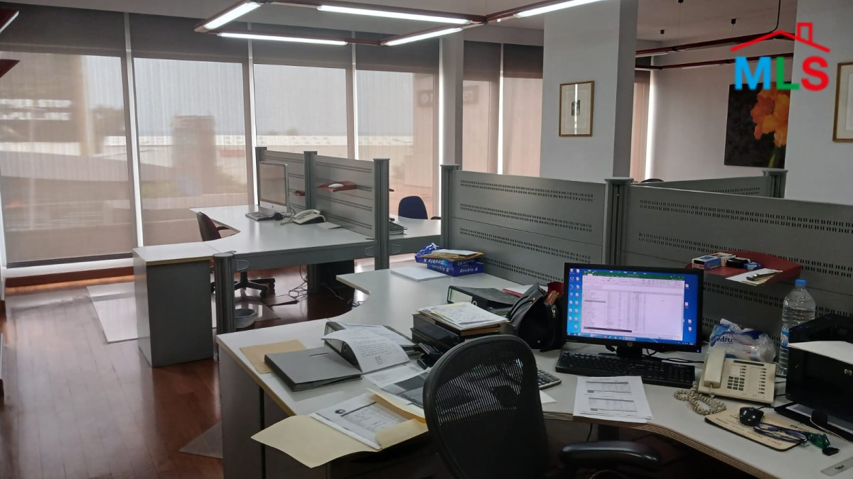 Spacious Office With Terrace for Rent In Zalka
