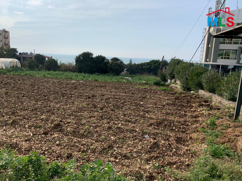 Land for Rent On The Highway In Fidar