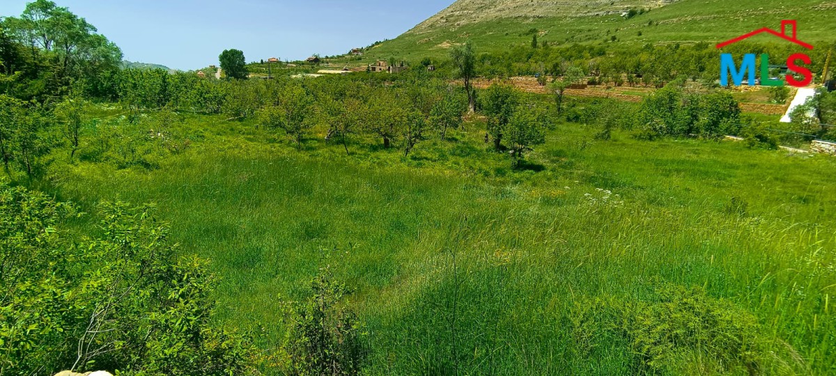 1000 SQM Land for Rent in Faraya