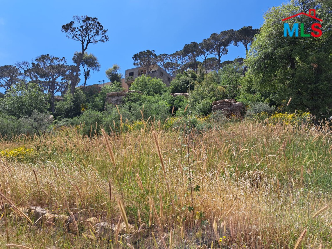 2000 SQM Land for Rent In Douar Zaroun