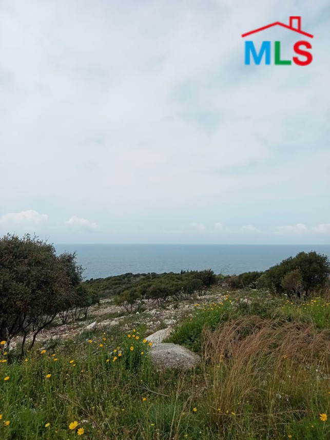 Beautiful Land for Rent In Barbara