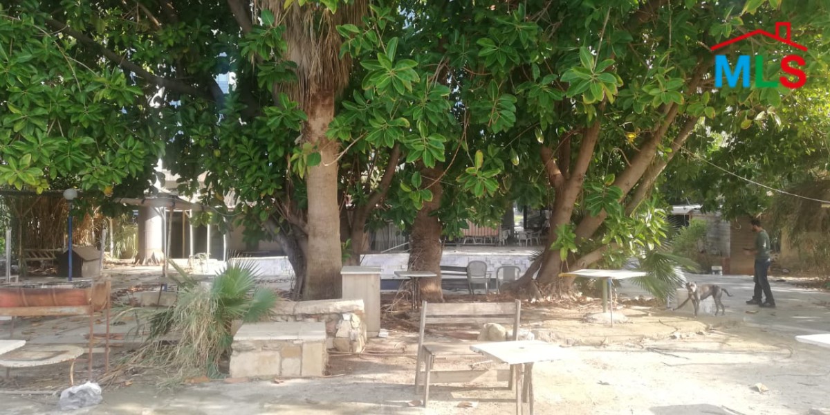 A Spacious 1200 sqm Land for Rent on the Sea-Side Road in Antelias