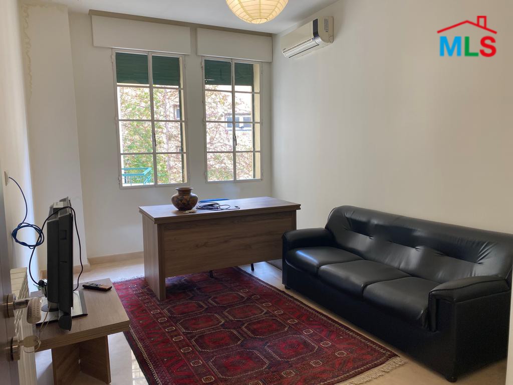 Spacious Furnished Apartment For Rent In Saifi Village