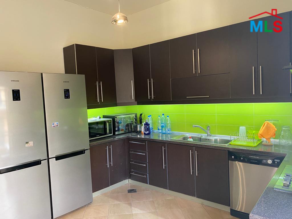 Spacious Furnished Apartment For Rent In Saifi Village