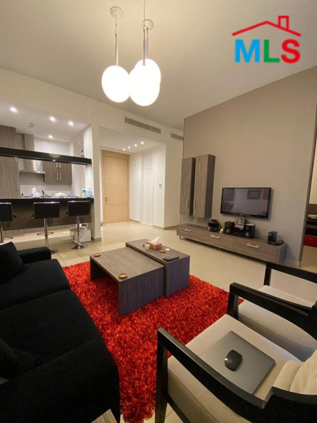 Fully Furnished Apartment for Rent in Saifi with Balcony