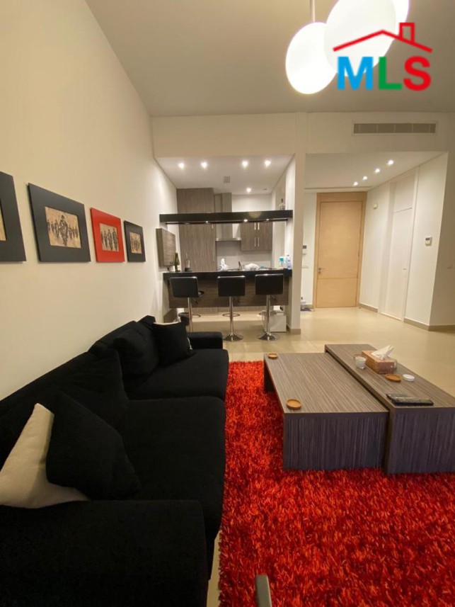 Fully Furnished Apartment for Rent in Saifi with Balcony