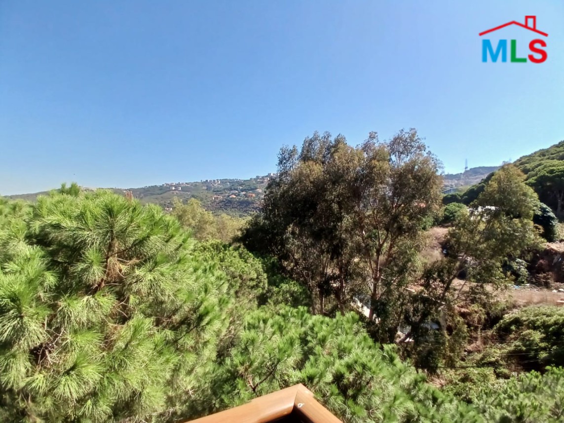 Spacious & Deluxe Apartment for Rent in A Classy Area In Ain Saadeh
