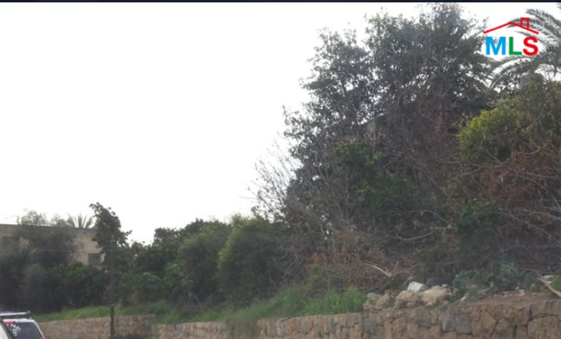Commercial Land With Old House For Rent in Naccache (Suitable For a Restaurant)