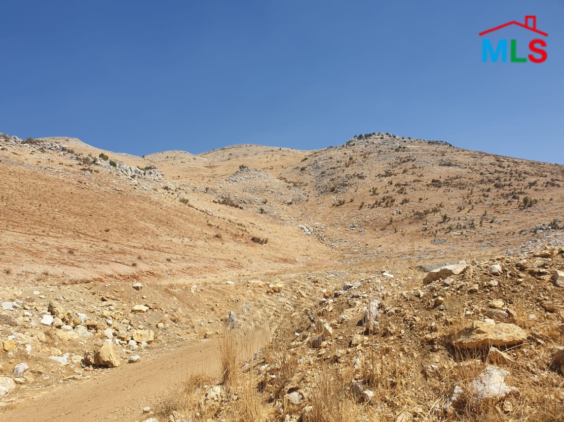 235,339 SQM Land With Mountain View For Sale in Falougha