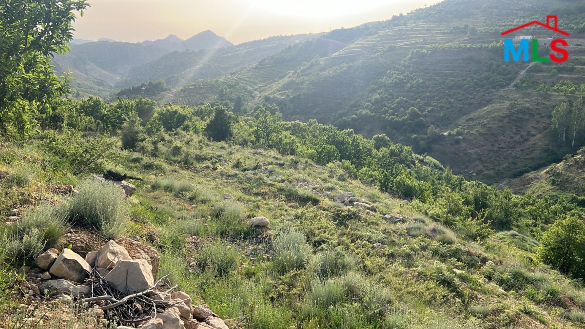 Land For Sale in the Beautiful area of Tannourine, Harissa