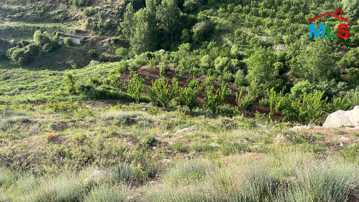 Land For Sale in the Beautiful area of Tannourine, Harissa